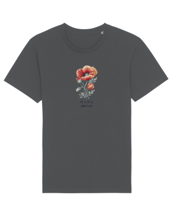 MAMA - SUFLETUL CASEI 2 Anthracite