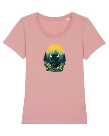 ZIMBRU - PRIMAVARA - MUNTI - BRAZI -SOARE  Canyon Pink