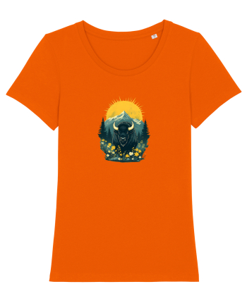 ZIMBRU - PRIMAVARA - MUNTI - BRAZI -SOARE  Bright Orange