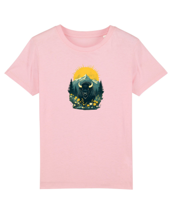 ZIMBRU - PRIMAVARA - MUNTI - BRAZI -SOARE  Cotton Pink