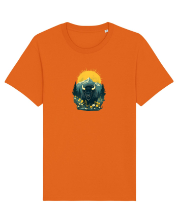 ZIMBRU - PRIMAVARA - MUNTI - BRAZI -SOARE  Bright Orange