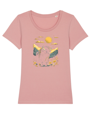 ZIMBRU - PRIMAVARA - MUNTI - BRAZI -SOARE 2 Canyon Pink
