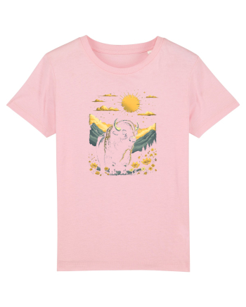 ZIMBRU - PRIMAVARA - MUNTI - BRAZI -SOARE 2 Cotton Pink