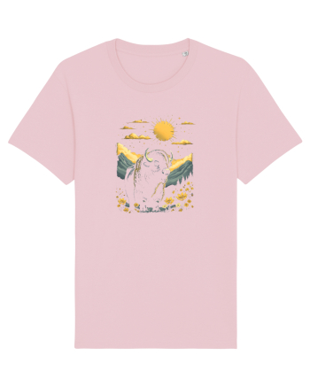ZIMBRU - PRIMAVARA - MUNTI - BRAZI -SOARE 2 Cotton Pink