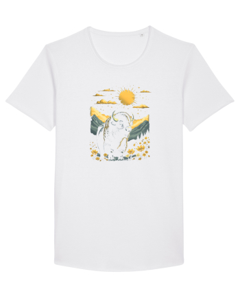 ZIMBRU - PRIMAVARA - MUNTI - BRAZI -SOARE 2 White