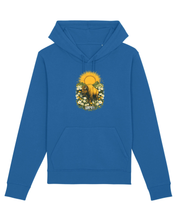 ZIMBRU - PRIMAVARA - MUNTI -CARPATHIANS -  BRAZI -SOARE  3 Royal Blue