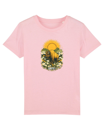 ZIMBRU - PRIMAVARA - MUNTI -CARPATHIANS -  BRAZI -SOARE  3 Cotton Pink