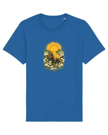 ZIMBRU - PRIMAVARA - MUNTI -CARPATHIANS -  BRAZI -SOARE  3 Royal Blue