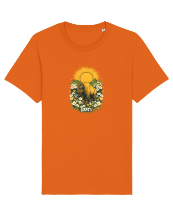 ZIMBRU - PRIMAVARA - MUNTI -CARPATHIANS -  BRAZI -SOARE  3 Bright Orange
