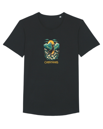 CERB - PRIMAVARA - MUNTI - CARPATHIANS -  BRAZI -SOARE   Black