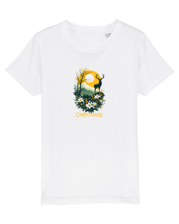 CERB - PRIMAVARA - MUNTI - CARPATHIANS -  BRAZI -SOARE  2 White
