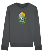 RAS / LYNX - PRIMAVARA - MUNTI - CARPATI -  BRAZI -SOARE  2 Bluză mânecă lungă Unisex Rise