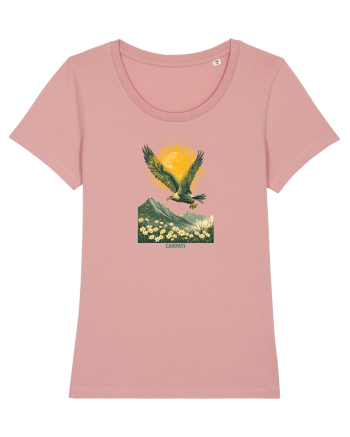 VULTUR - PRIMAVARA - MUNTI - CARPATI -  BRAZI -SOARE  3 Canyon Pink