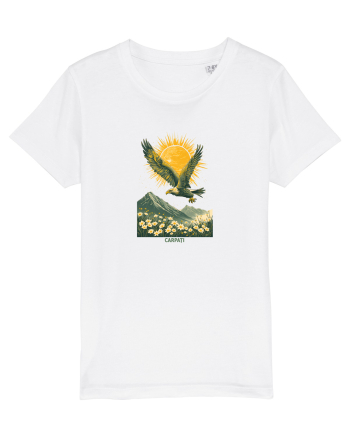 VULTUR - PRIMAVARA - MUNTI - CARPATI -  BRAZI -SOARE  3 White
