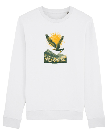 VULTUR - PRIMAVARA - MUNTI - CARPATI -  BRAZI -SOARE  3 White
