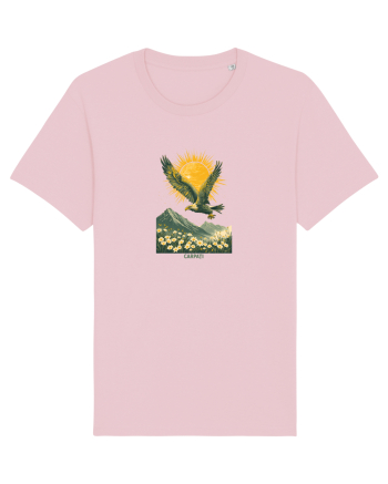 VULTUR - PRIMAVARA - MUNTI - CARPATI -  BRAZI -SOARE  3 Cotton Pink