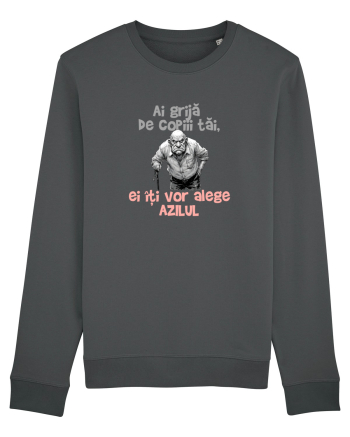 AI GRIJA DE COPIII TAI, EI ITI VOR ALEGE AZILUL - batran 3 Anthracite