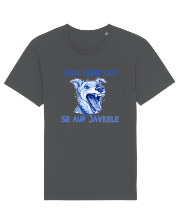 CAND LUPII TAC, SE AUD JAVRELE 2 Anthracite