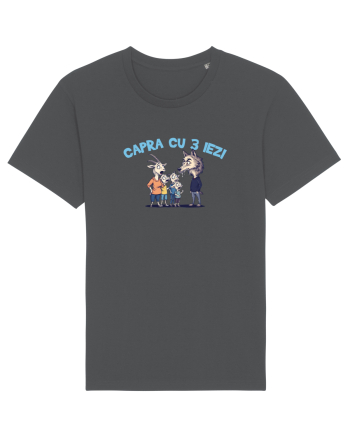 CAPRA CU 3 IEZI - POVESTE 1 Anthracite