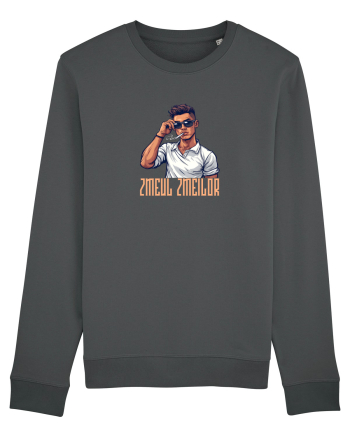 ZMEUL ZMEILOR 4 Anthracite