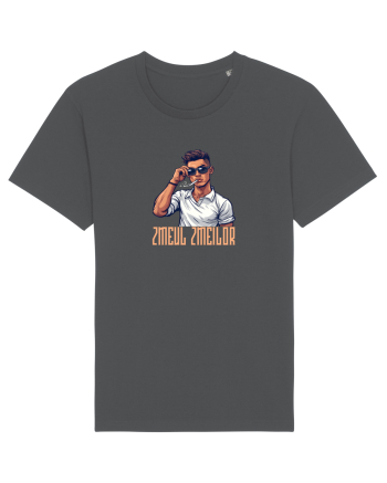 ZMEUL ZMEILOR 4 Anthracite