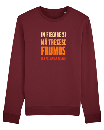 IN FIECARE ZI MA TREZESC FRUMOS, DAR AZI AM EXAGERAT Burgundy