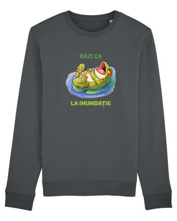 RAZI CA BROASCA LA INUNDATIE 1 Anthracite