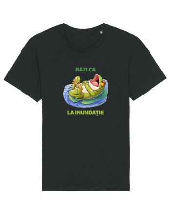 RAZI CA BROASCA LA INUNDATIE 1 Black
