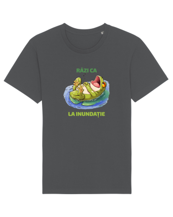 RAZI CA BROASCA LA INUNDATIE 1 Anthracite