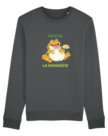 RAZI CA BROASCA LA INUNDATIE 2 Anthracite