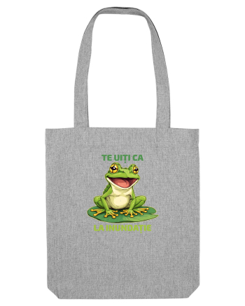 TE UITI CA BROASCA LA INUNDATIE 1 Heather Grey