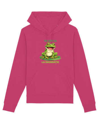 TE UITI CA BROASCA LA INUNDATIE 1 Raspberry