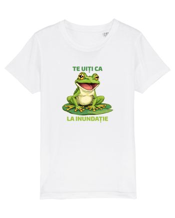 TE UITI CA BROASCA LA INUNDATIE 1 White