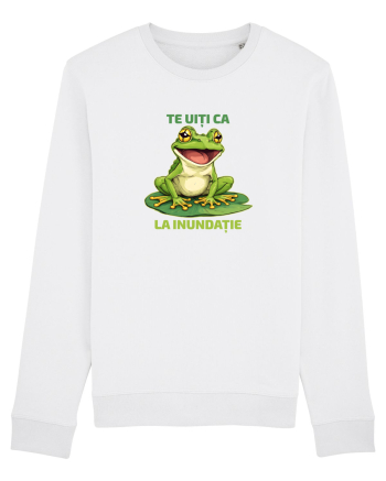TE UITI CA BROASCA LA INUNDATIE 1 White