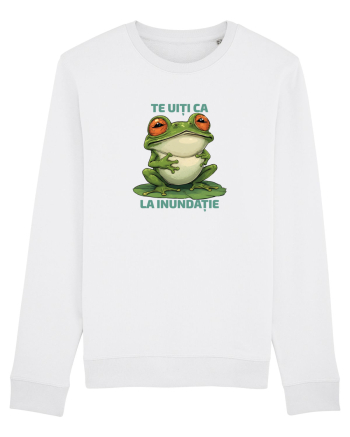 TE UITI CA BROASCA LA INUNDATIE 2 White