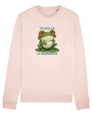 TE UITI CA BROASCA LA INUNDATIE 2 Candy Pink