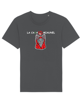 La casa de Miaunel Anthracite