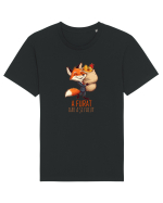 A FURAT, DAR A SI FACUT -  gaina furata - Mentalitate romaneasca. Romani Tricou mânecă scurtă Unisex Rocker