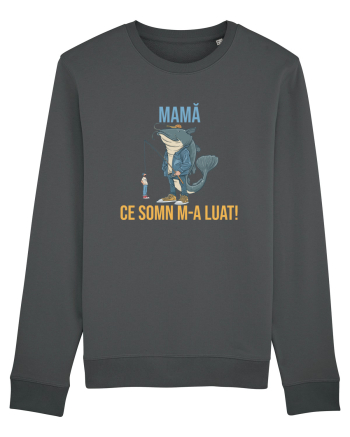 MAMA, CE SOMN M-A LUAT! Anthracite
