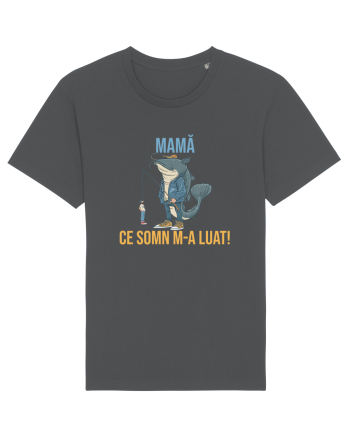 MAMA, CE SOMN M-A LUAT! Anthracite
