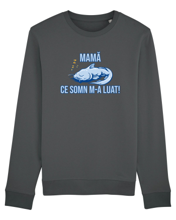 MAMA, CE SOMN M-A LUAT! 2 Anthracite