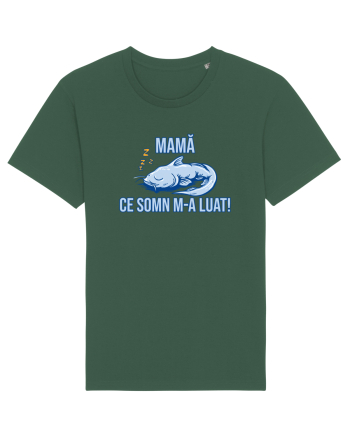 MAMA, CE SOMN M-A LUAT! 2 Bottle Green