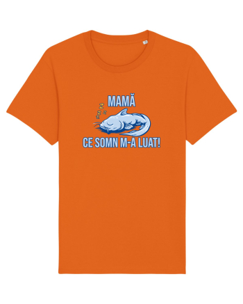 MAMA, CE SOMN M-A LUAT! 2 Bright Orange