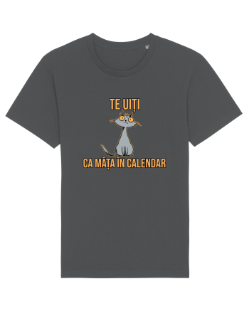 TE UITI CA MATA IN CALENDAR 1 Anthracite