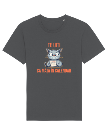 TE UITI CA MATA IN CALENDAR 2 Anthracite