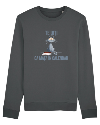 TE UITI CA MATA IN CALENDAR 3 Anthracite