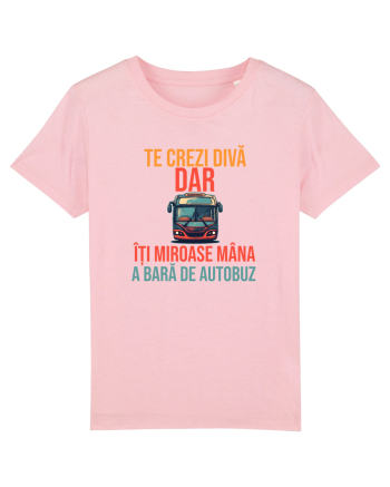 TE CREZI DIVA, DAR ITI MIROASE MANA A BARA DE AUTOBUZ 1 Cotton Pink