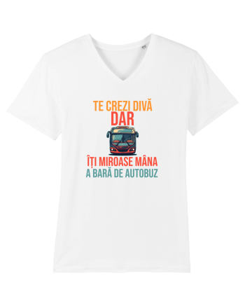 TE CREZI DIVA, DAR ITI MIROASE MANA A BARA DE AUTOBUZ 1 White