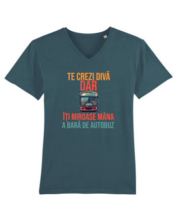 TE CREZI DIVA, DAR ITI MIROASE MANA A BARA DE AUTOBUZ 1 Stargazer