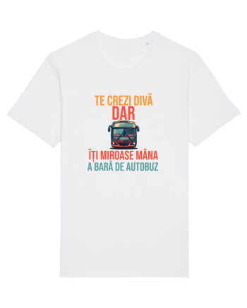 TE CREZI DIVA, DAR ITI MIROASE MANA A BARA DE AUTOBUZ 1 White
